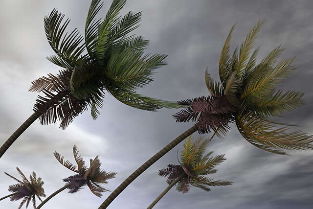 Avoid Travel Disruption during a Hurricane