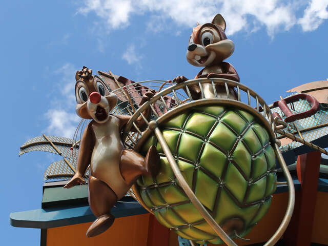 Disney Vacations