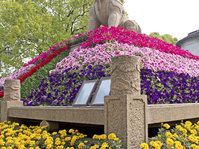 Revel in the breathtaking beauty of the gardens in Suzhou, China