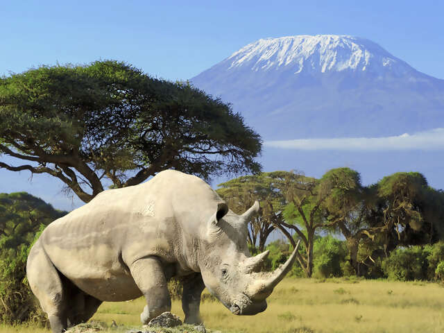 Mount Kilimanjaro