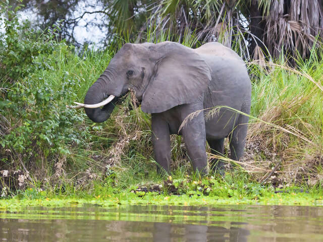 Abidjan