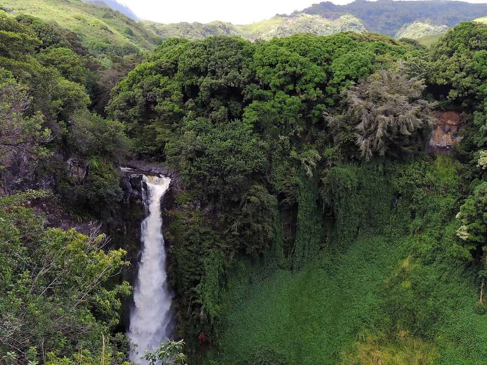 Exploring the Beauty of Maui