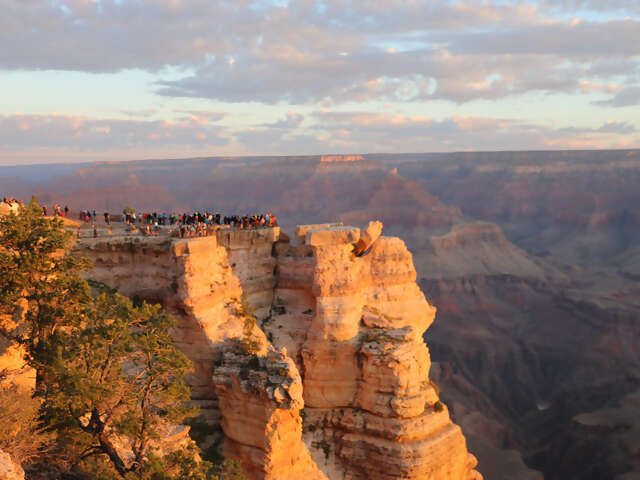 Arizona
