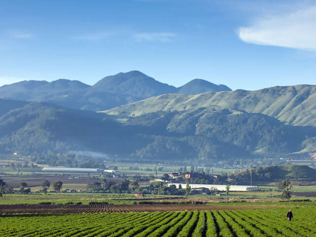 More than Tropical Beaches: Exploring the Natural Beauty of the Dominican Republic