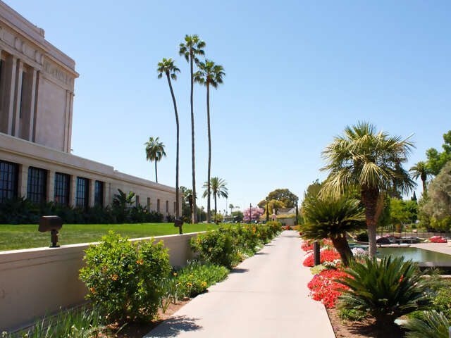 Mesa