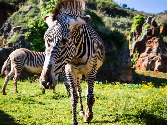 Masai Mara Game Reserve