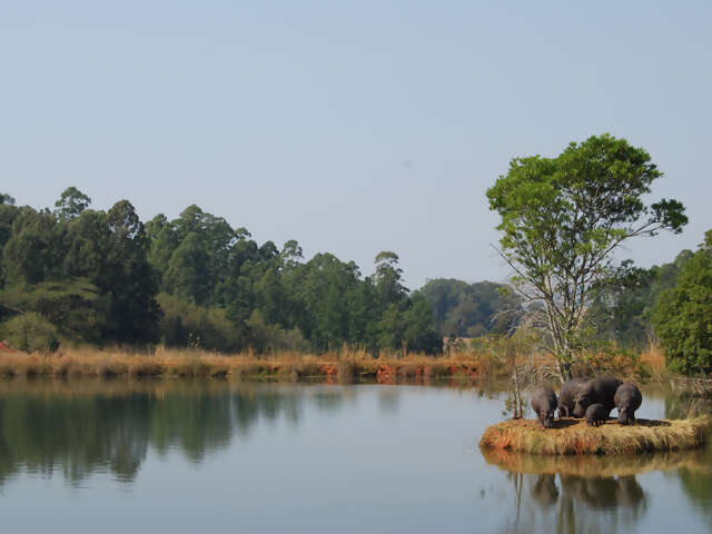 Brazzaville
