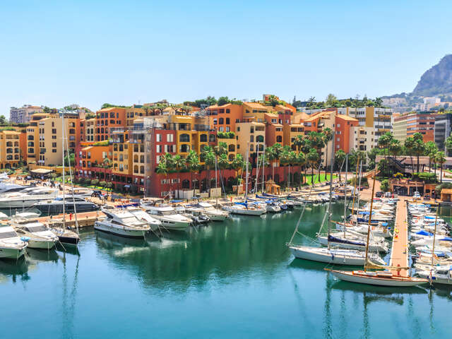 Monte Carlo