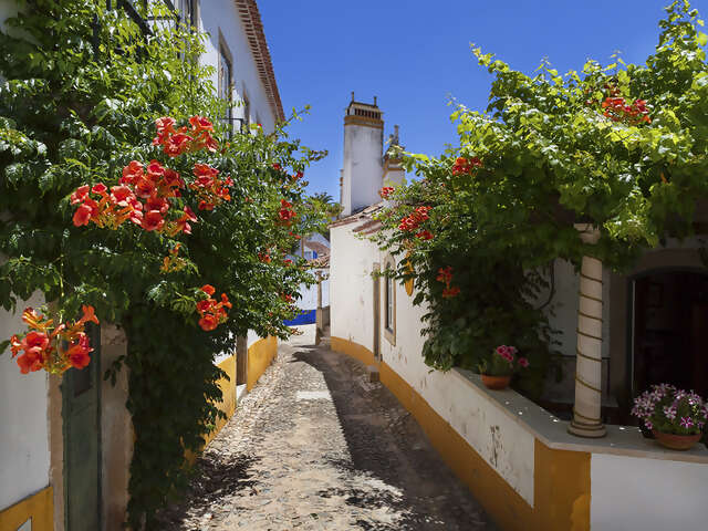 Immersed and Embraced by Portugal