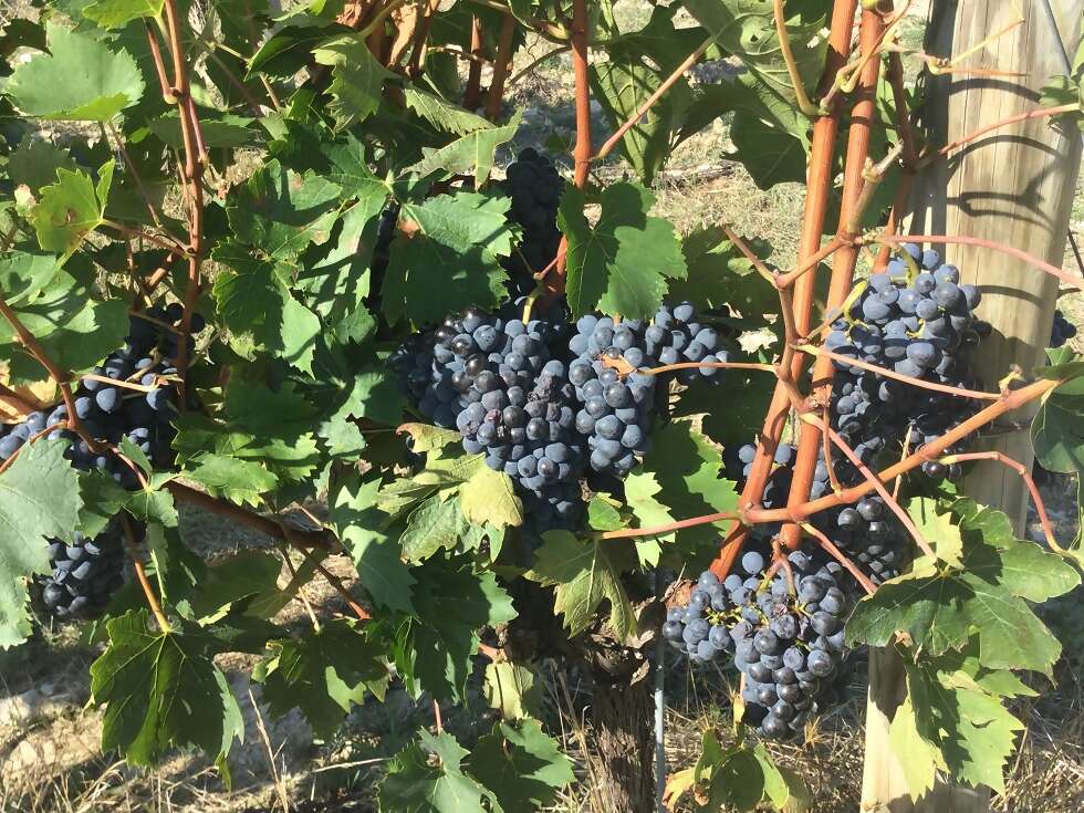 Bucket list trip to Italy!