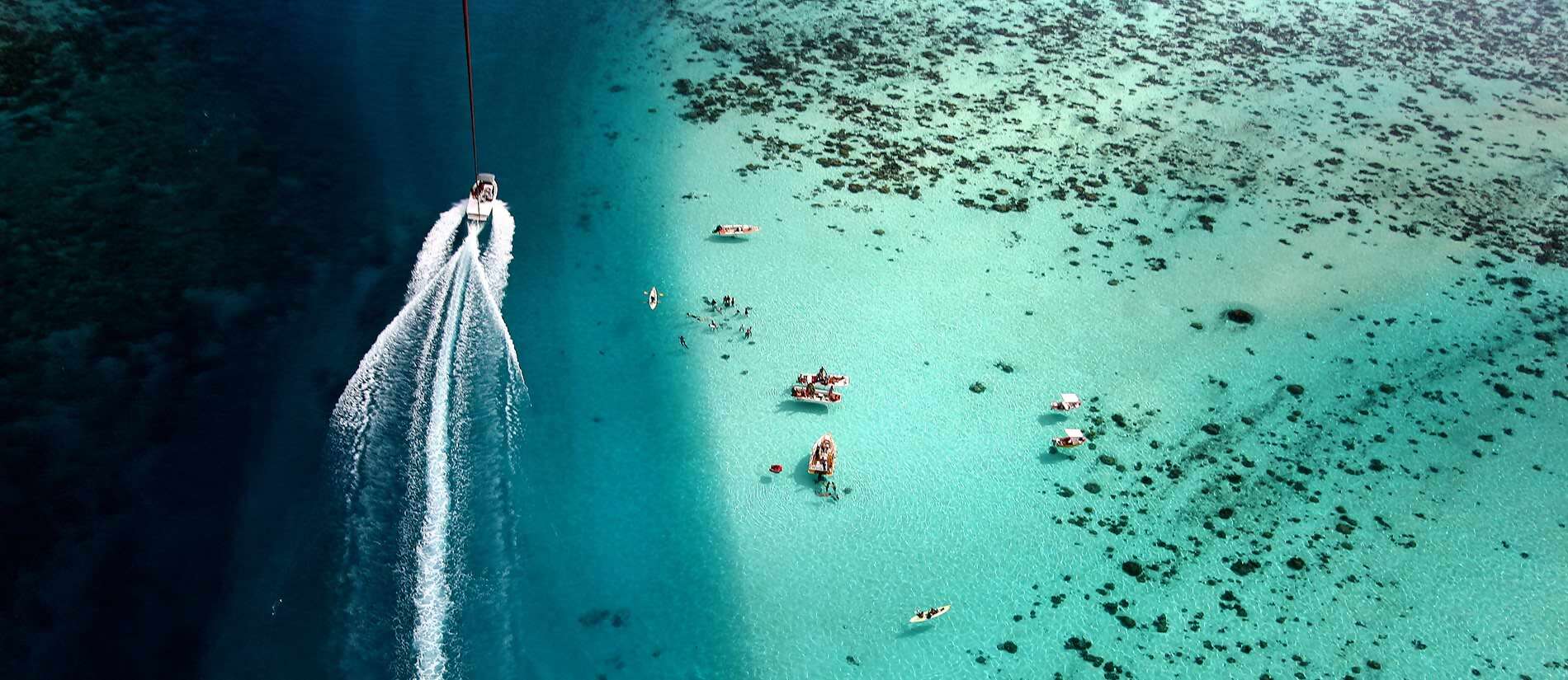 Everything was Amazing!