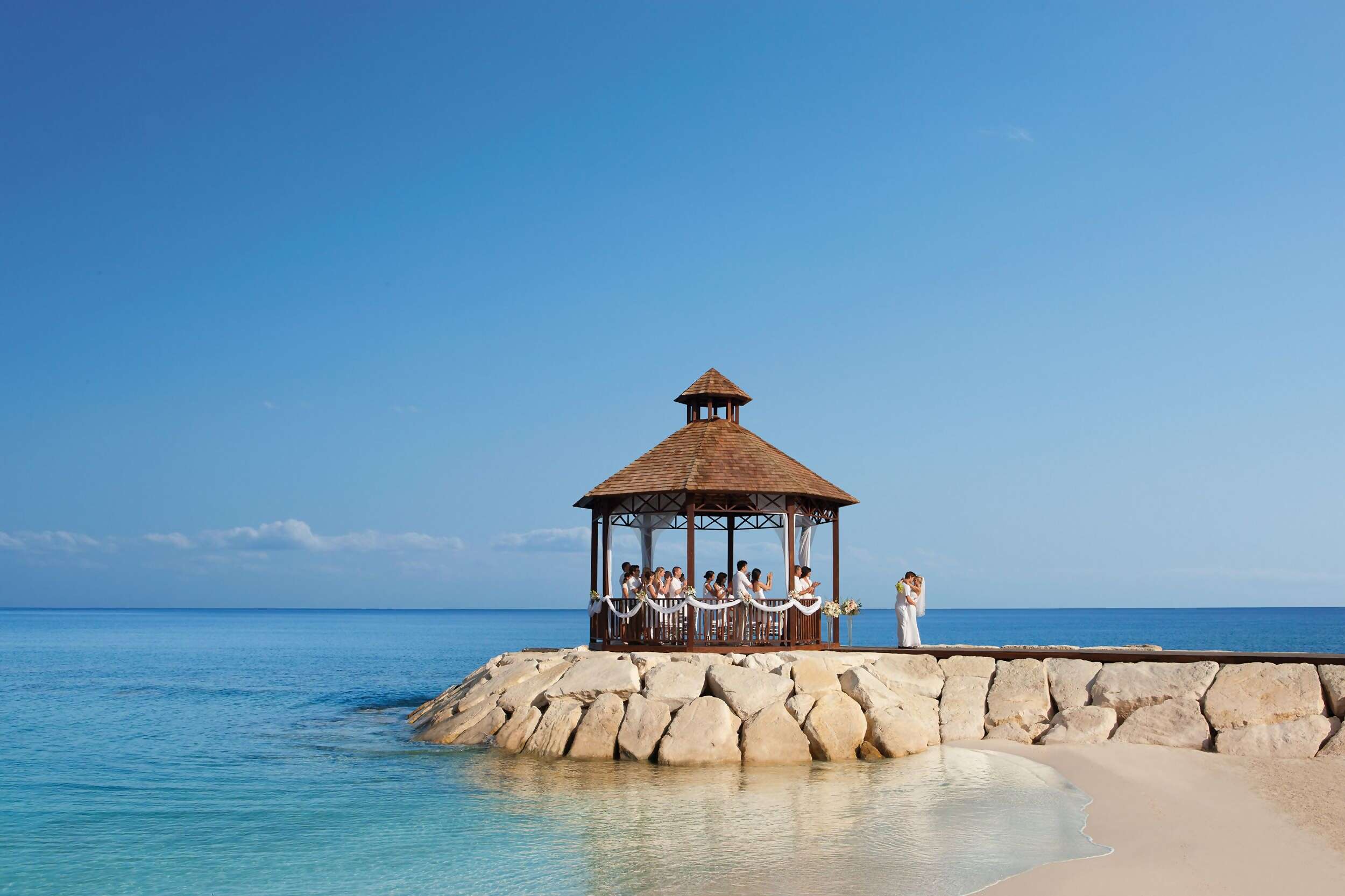 Secrets Wild Orchid