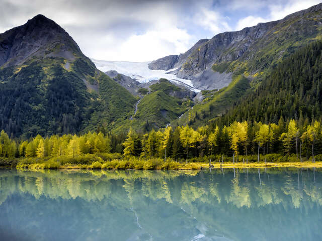 Alaskan Cruise + Yukon + Denali