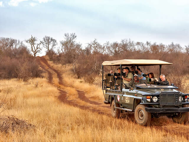 A Safari with Significance