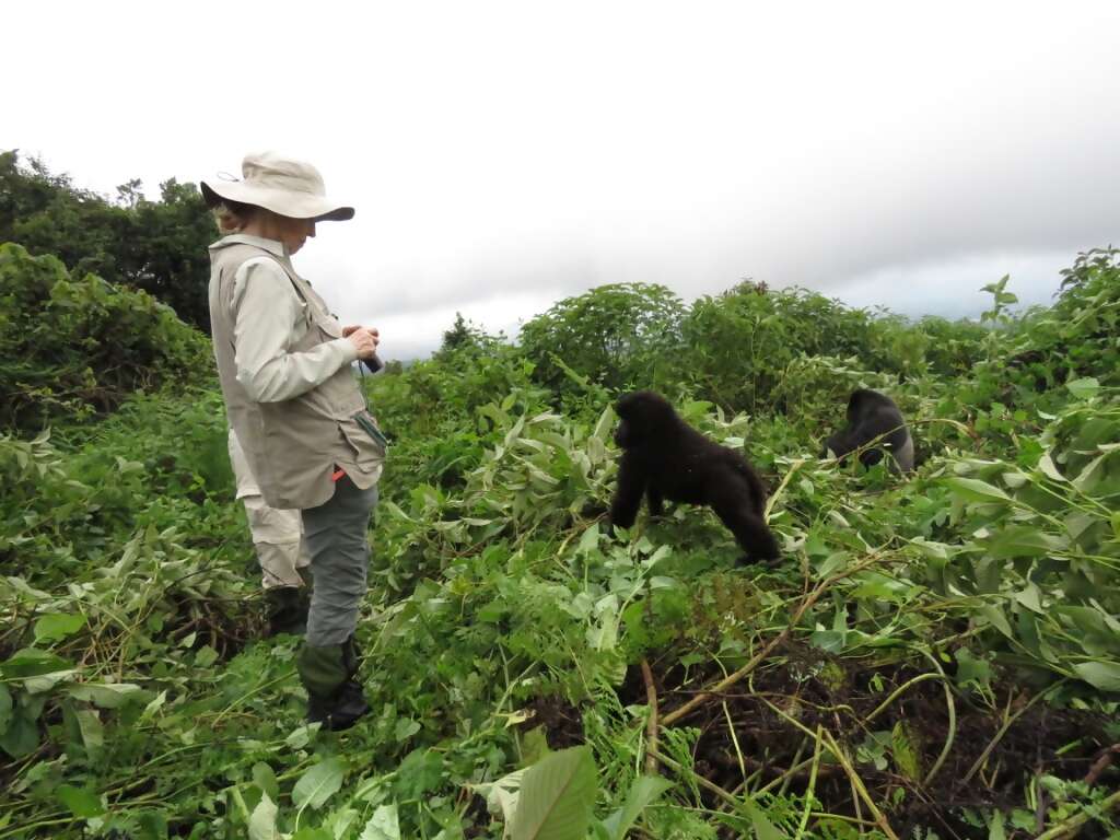 Primate Pursuits