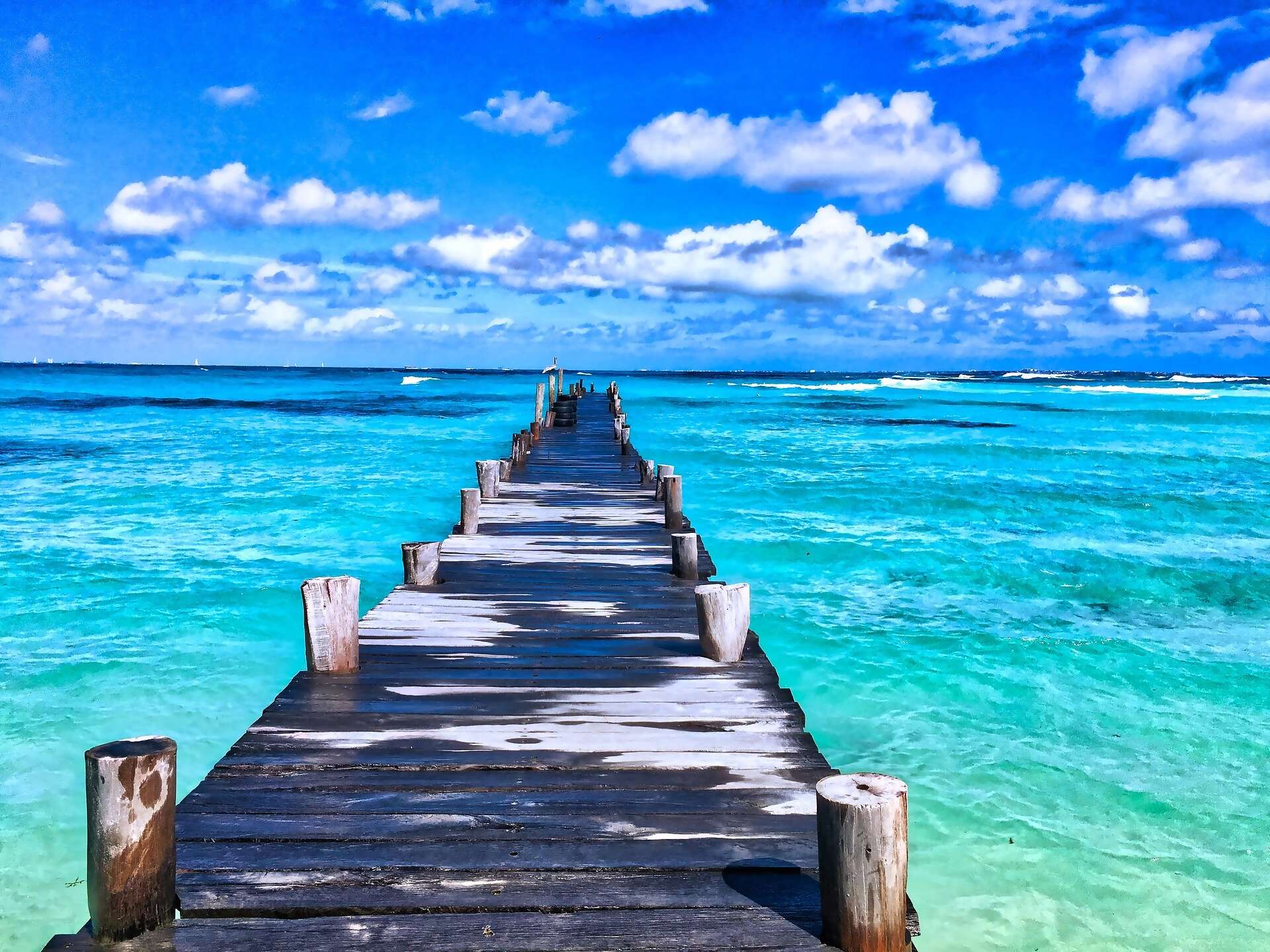 Banner1
