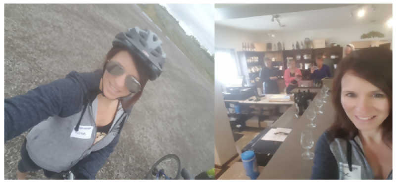 Niagara Falls Biking Wine Tour