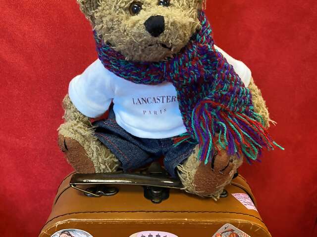 Curious How International Travel Looks Today?