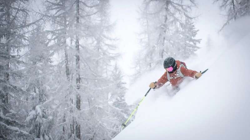 Ski Safari