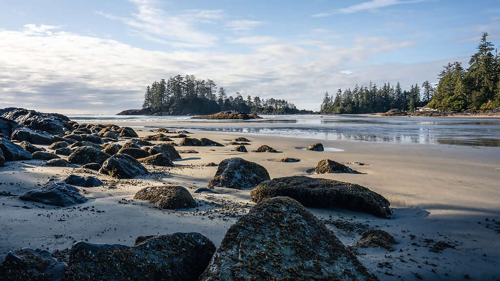 Wild West Coast: SUP, Soak, Cycle, Surf. Tofino Is A Breathtaking Place That Has It All.