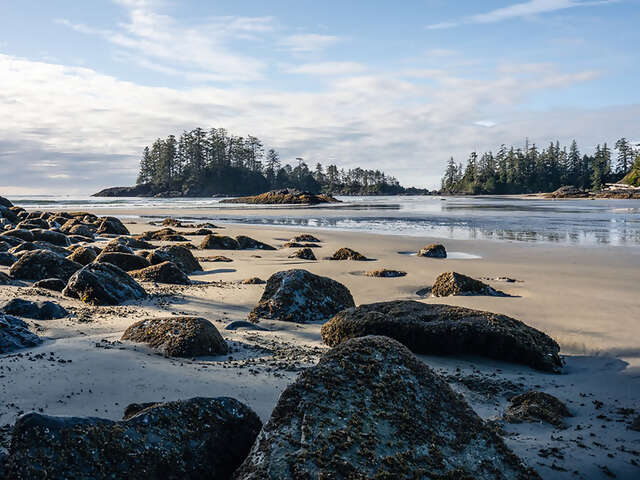 Wild West Coast: SUP, Soak, Cycle, Surf. Tofino Is A Breathtaking Place That Has It All.