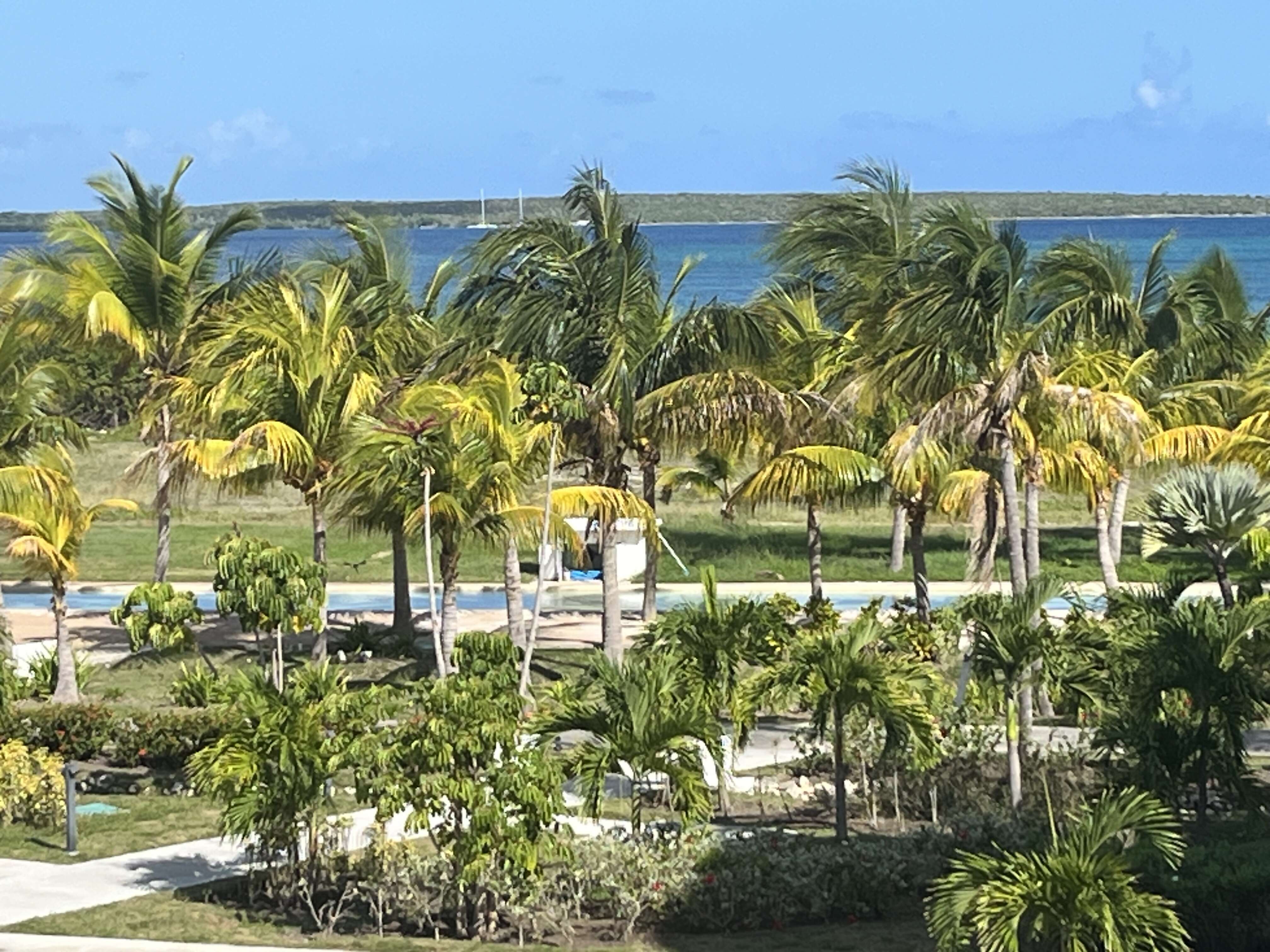 Best Service I Have Ever Had