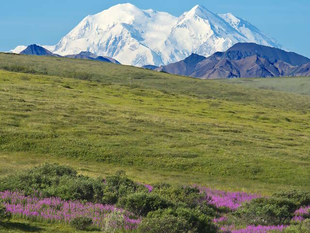 Holland America Line Announces $70M Multi-Year Expansion to Enhance Denali Lodge and Alaska Cruisetours, Building on Leadership in Wildlife Experiences
