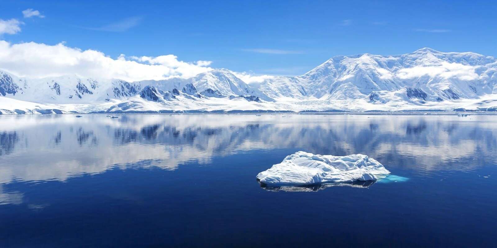 Arctic Cruise Tips