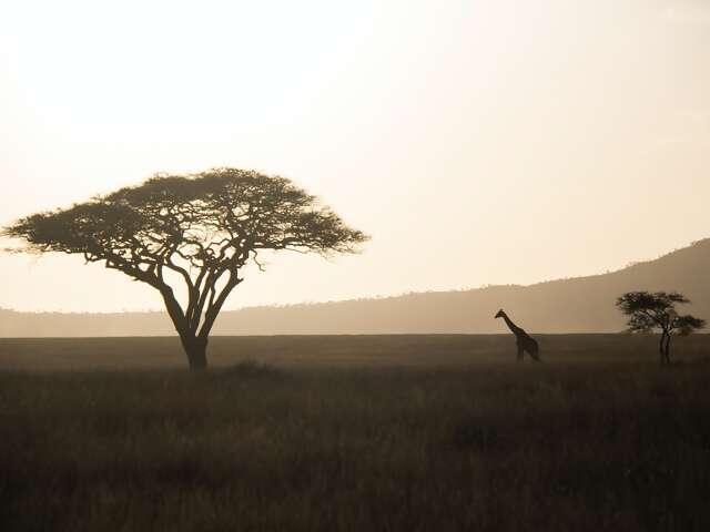 Savoring & Saving Africa's Wilderness