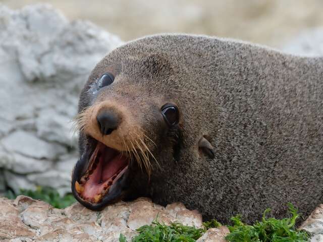 March 3rd – Breakfast Included