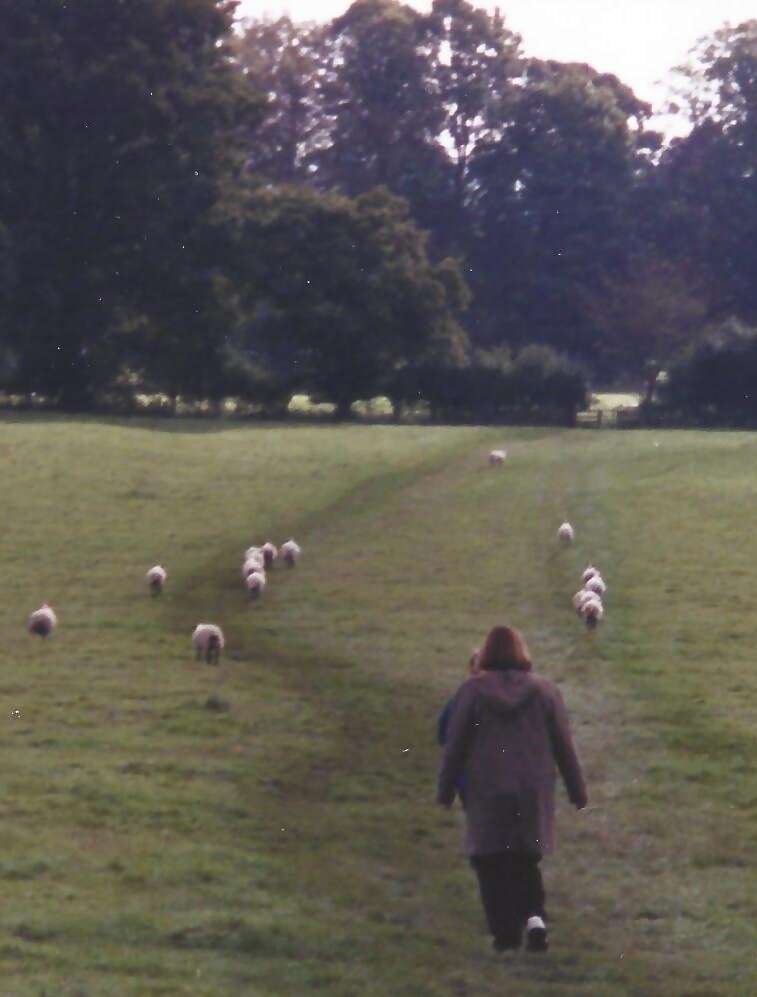 What Sights And Sounds Will You Carry With You?