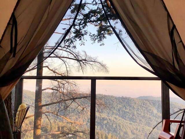 Superhost Robin’s treehouse is cradled by Douglas Firs high above a vineyard in the Santa Cruz Mountains