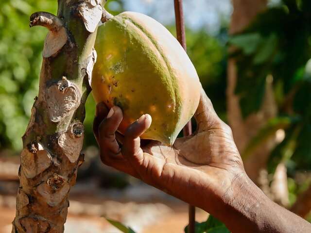 The Bahamas’ natural gifts go far beyond sun, sea, and sand