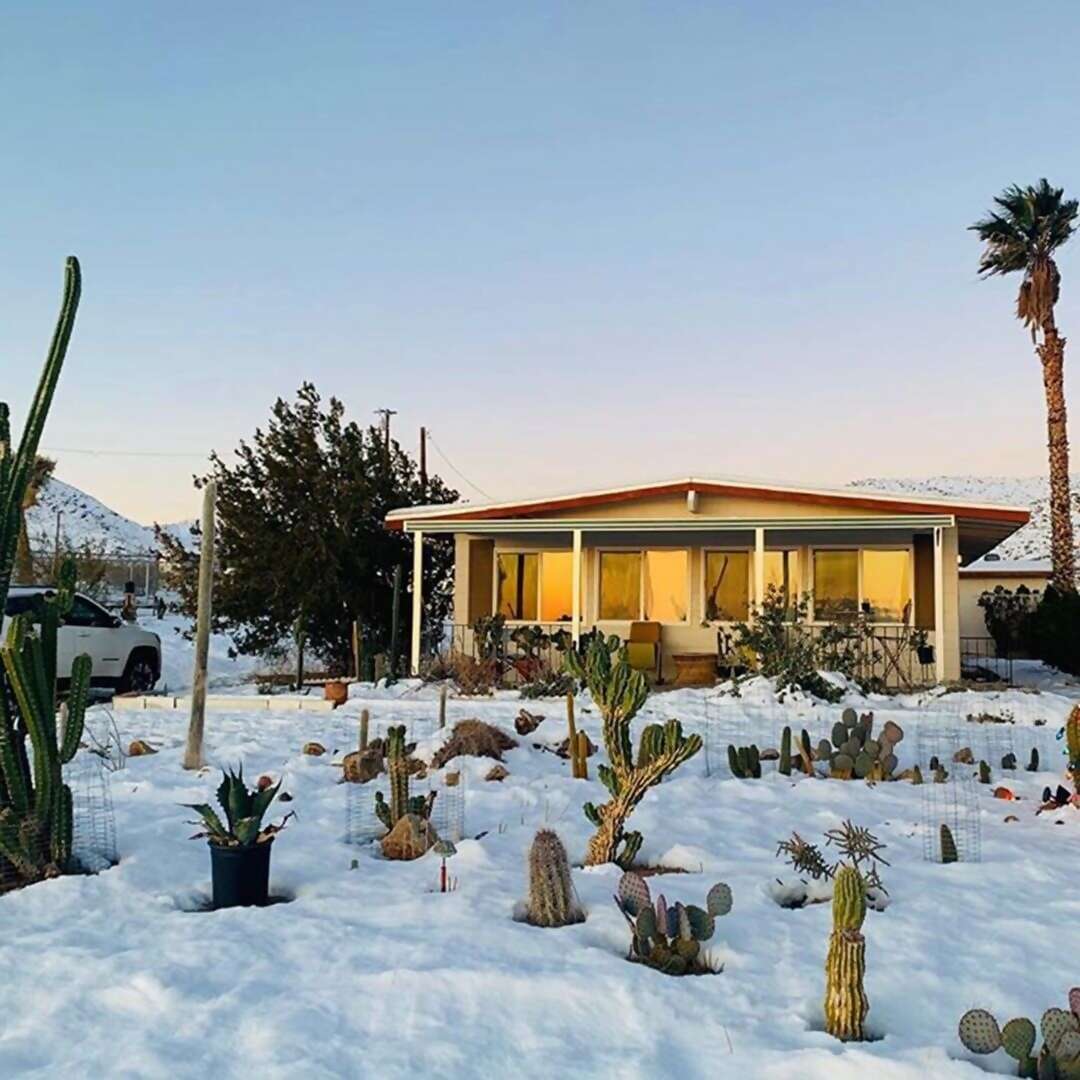 Superhost Michelle’s high-desert retreat offers an unbeatable sunrise/sunset double feature with an occasional guest appearance b