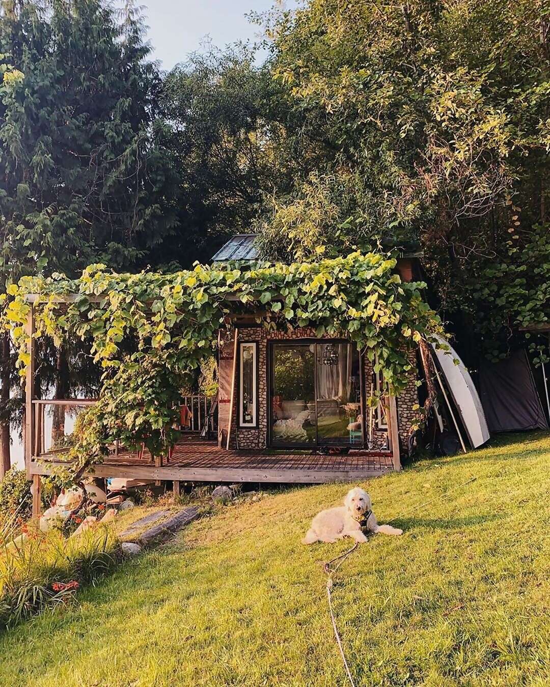 Overlooking the calm, protected waters of the Sechelt Inlet, Superhost Ivana’s house comes with all kinds of watercraft, from pad