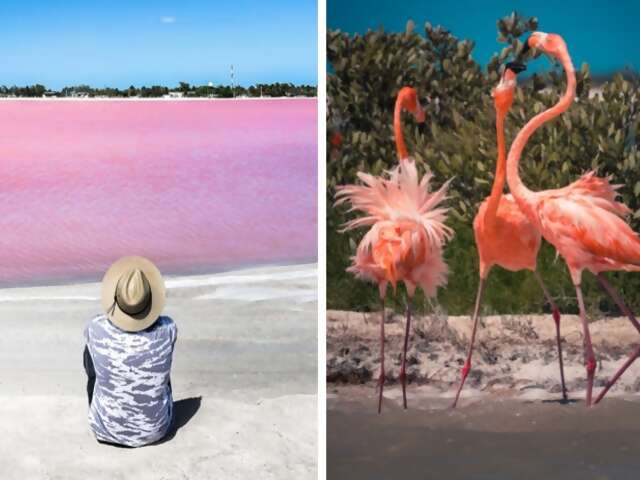 The 7 Most Beautiful Beaches in Mexico's Yucatan Peninsula
