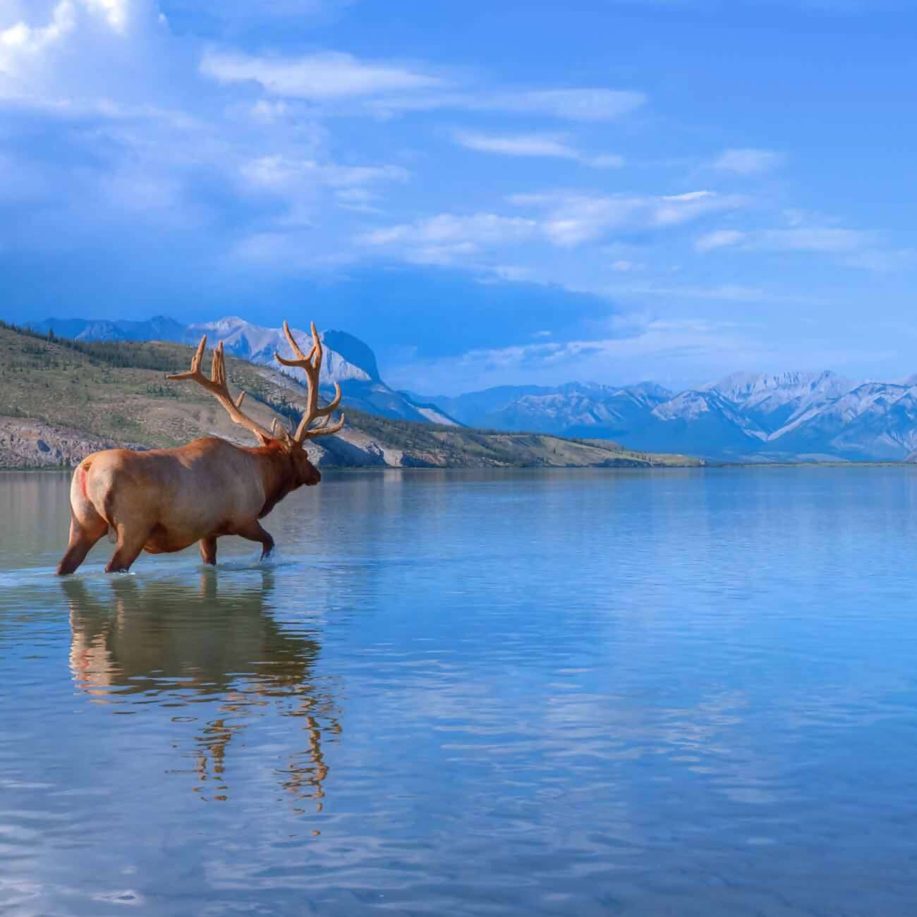 2 Nights Rome, 5 Nights Florence & 2 Nights Venice