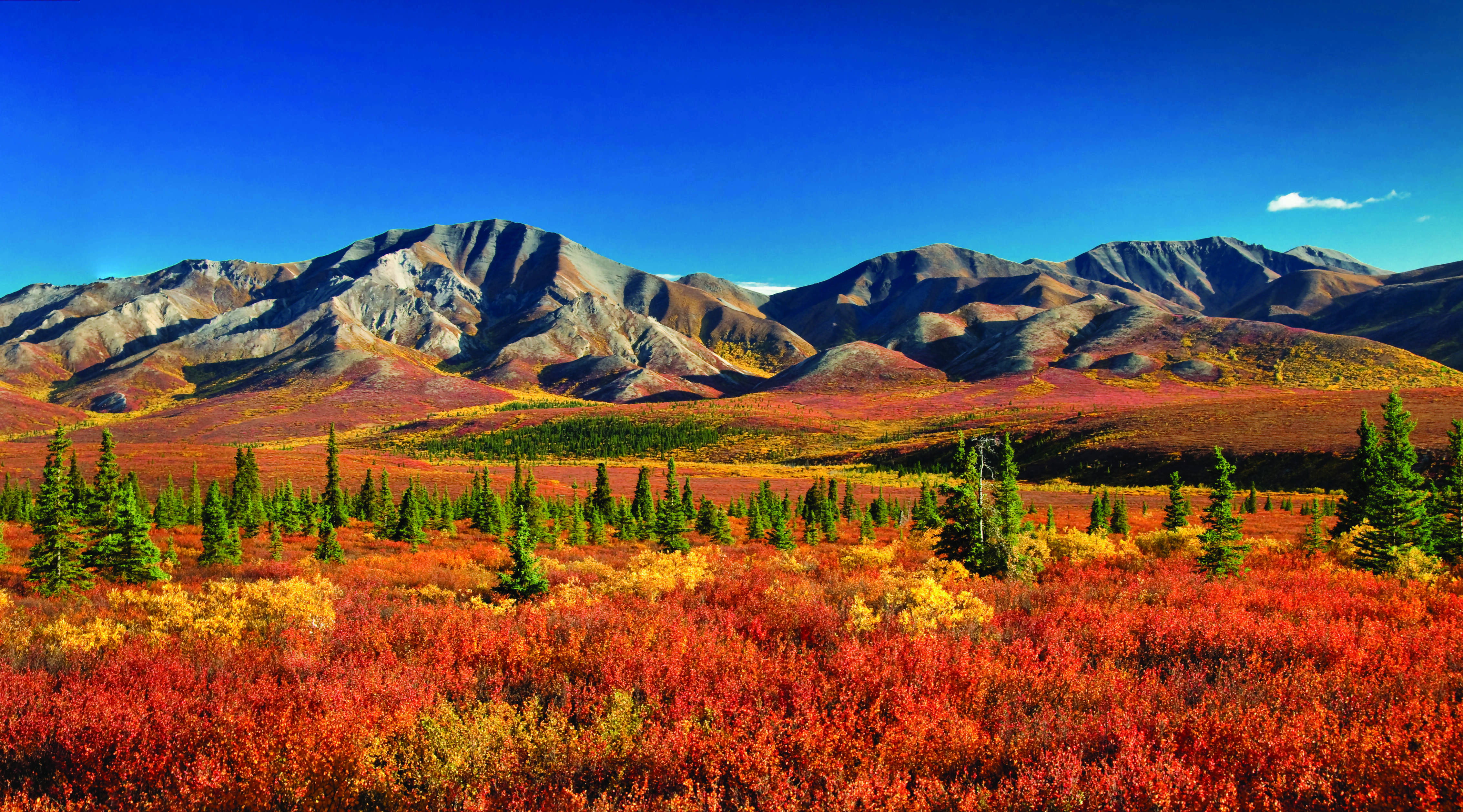 Adventure to Alaska featuring a 7-night Royal Caribbean Cruise