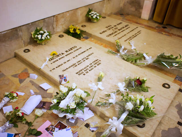 Springtime Tulip River Cruise featuring Dutch and Belgian Waterways