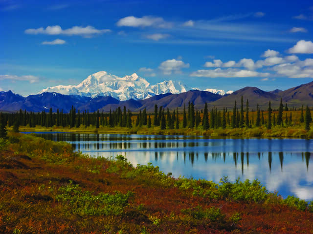 Alaska Discovery Land & Cruise featuring a 7-night Princess Cruise