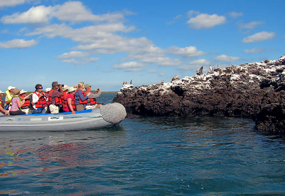 Machu Picchu & the Galapagos Islands