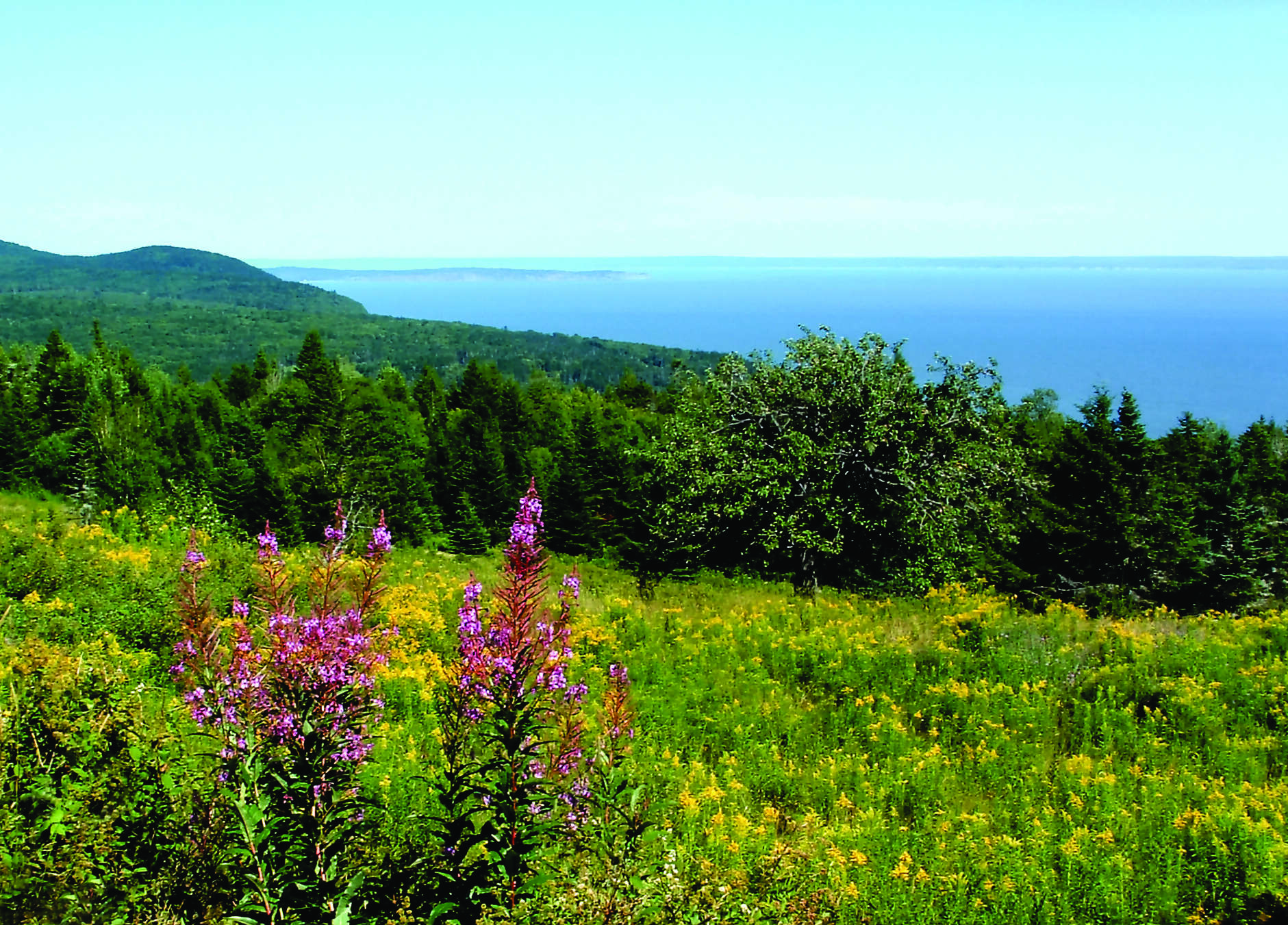 Charming French Canada featuring Montréal, Quebec City, Charlevoix and Montebello