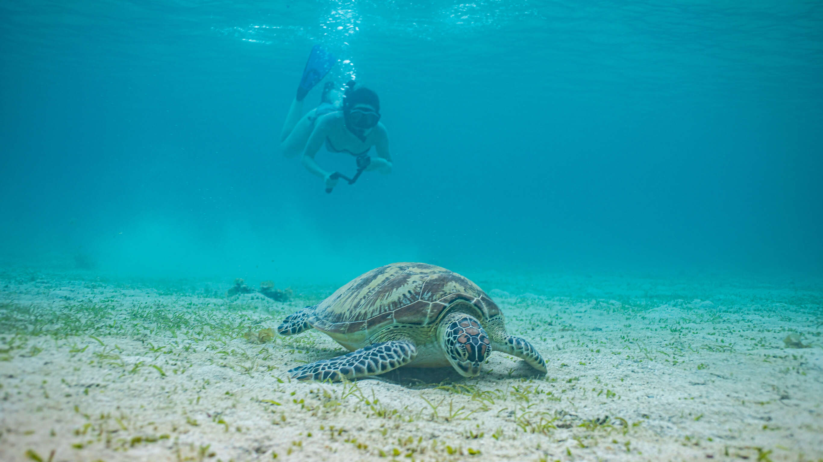 Philippines Palawan Adventure