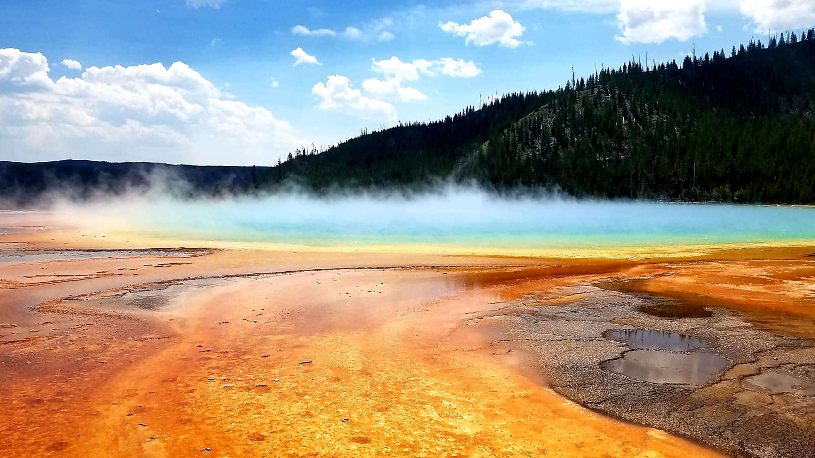 National Parks Family Journey: Yellowstone and Grand Teton