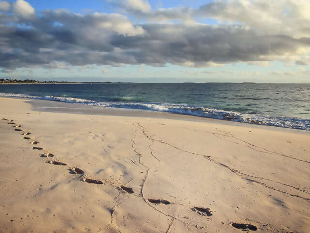 Queensland Adventure: Rainforests & Waterfalls