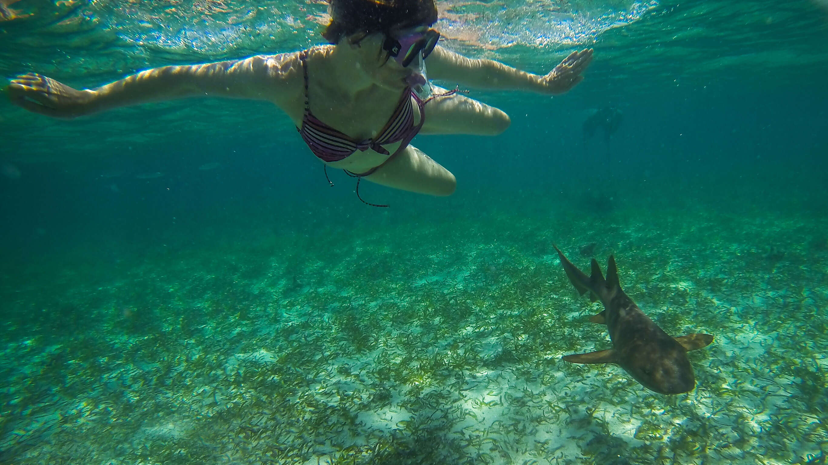 Belize & Tikal Adventure