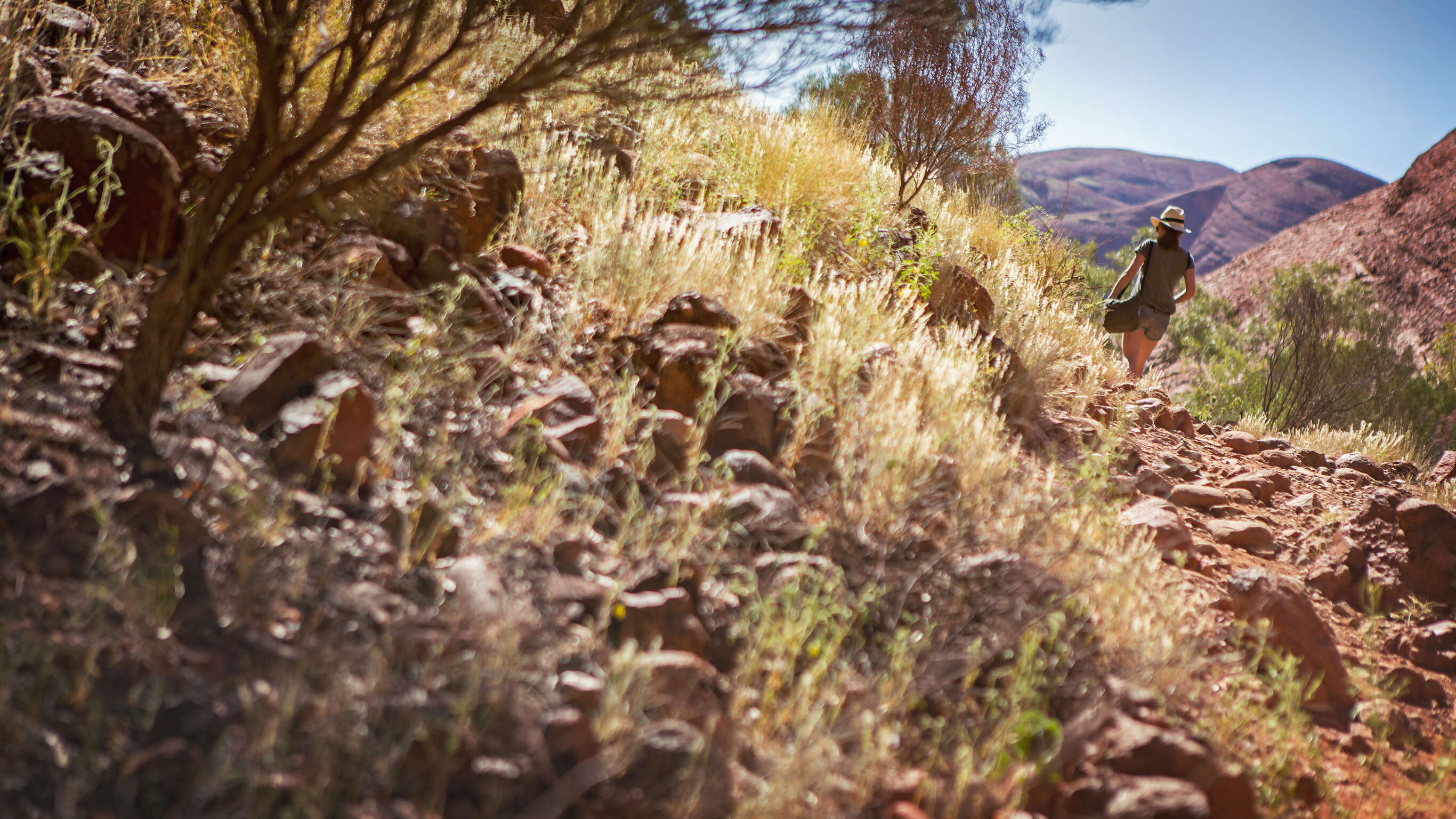 Australia South to North–Melbourne to Darwin