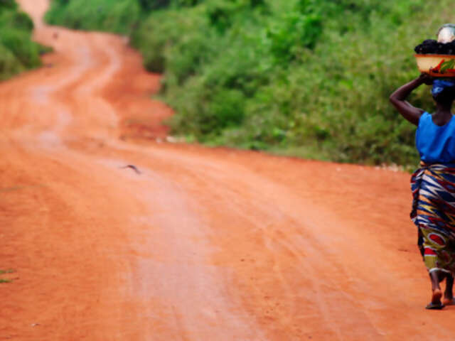 The Voodoo Trail