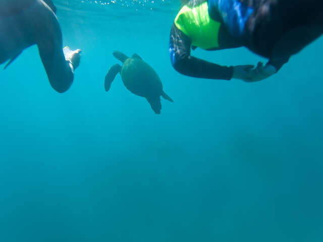 Galápagos Multisport with Quito