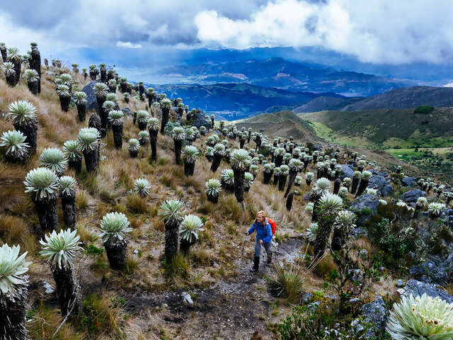 Colombia Multisport